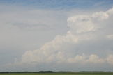 Early convection