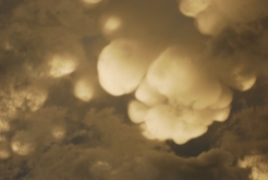 Detail of mammatus clouds